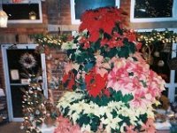 photos 2000-200901320